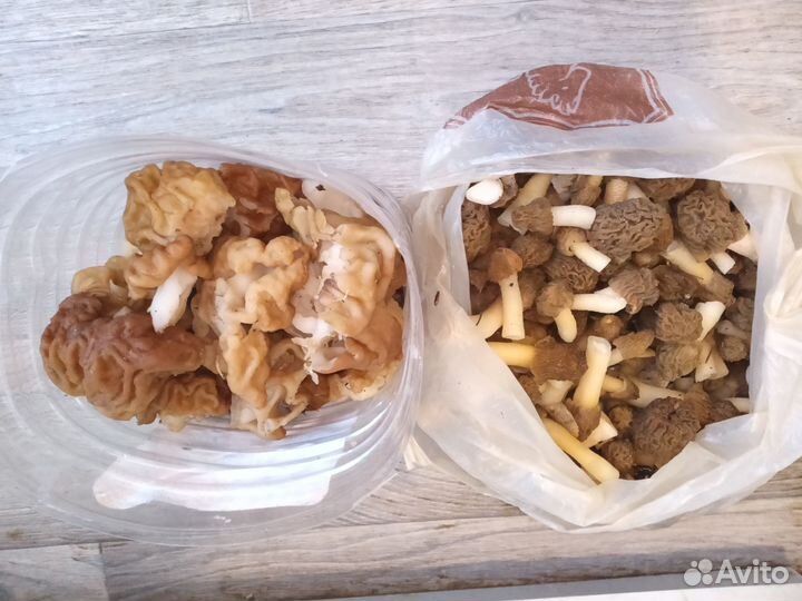 Свежие Грибы и сушеные и маринованые,грибная икра