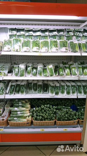 Соевые ростки очищенные Овощи, фрукты, зелень