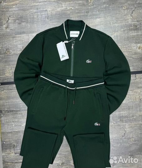 Спортивный костюм мужской Lacoste