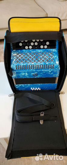 Баян ученический