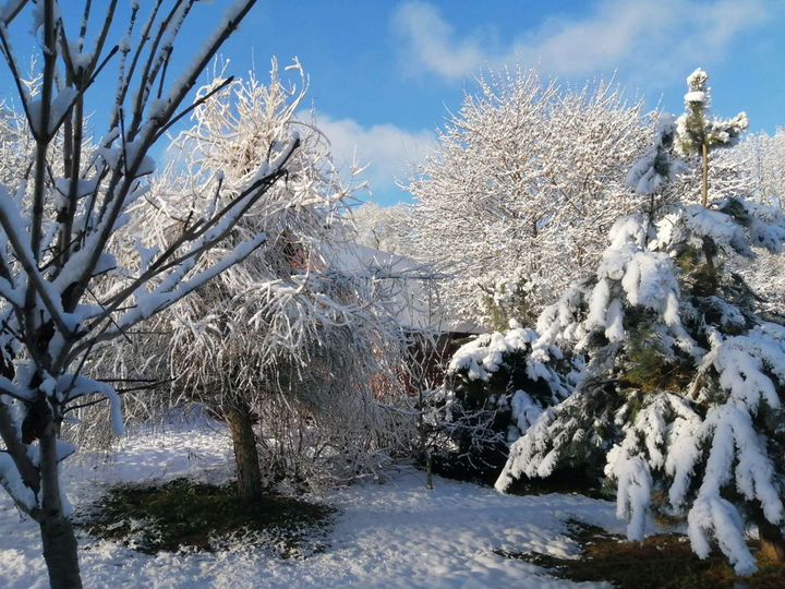 Дом 80 м² на участке 50 сот.