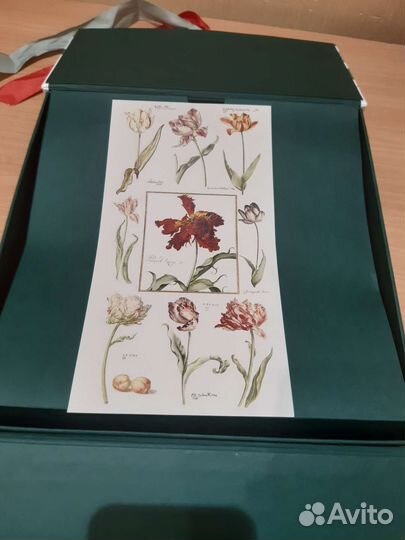 Палантин, шелк, новый.Италия