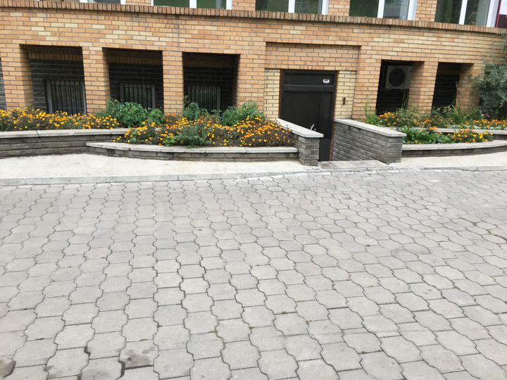 Торговая площадь, 164.1 м²