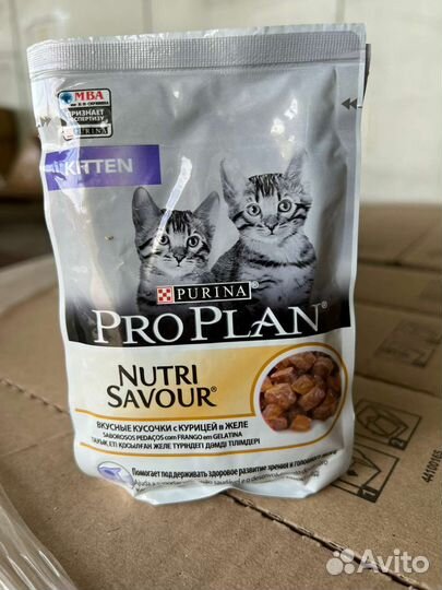 Корм для Котят