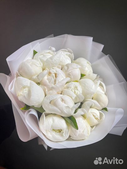 Букет цветов Пионы 9/15/25/51 с доставкой