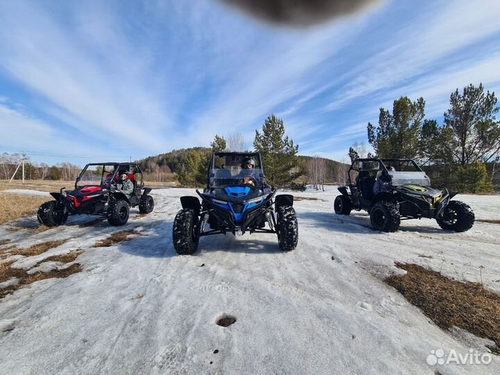 Прокат багги