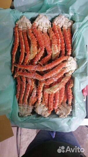 Краб Камчатка