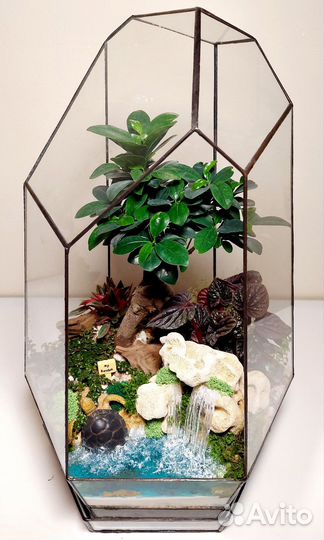 Большой флорариум с бонсай, водоёмом и водопадом