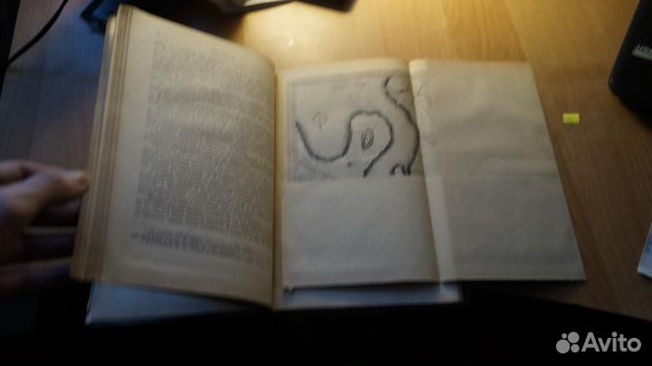 Ефимов А.В. Из истории великих русских географичес