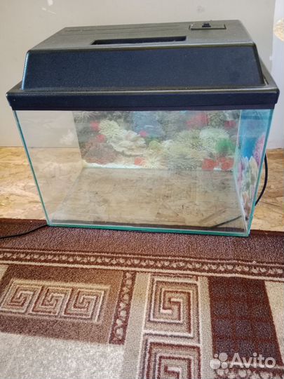 Аквариум