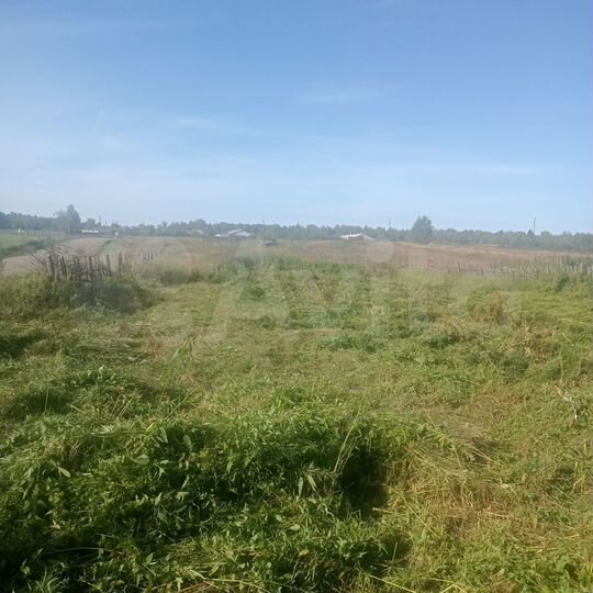 Дом 55 м² на участке 35 сот.