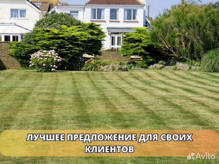 Укладка и продажа рулонного газона