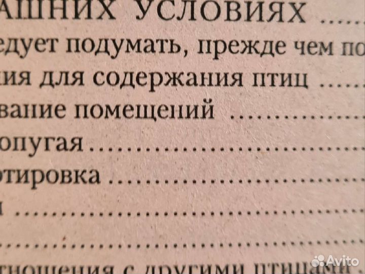 Кореллы. Рахманов А. И