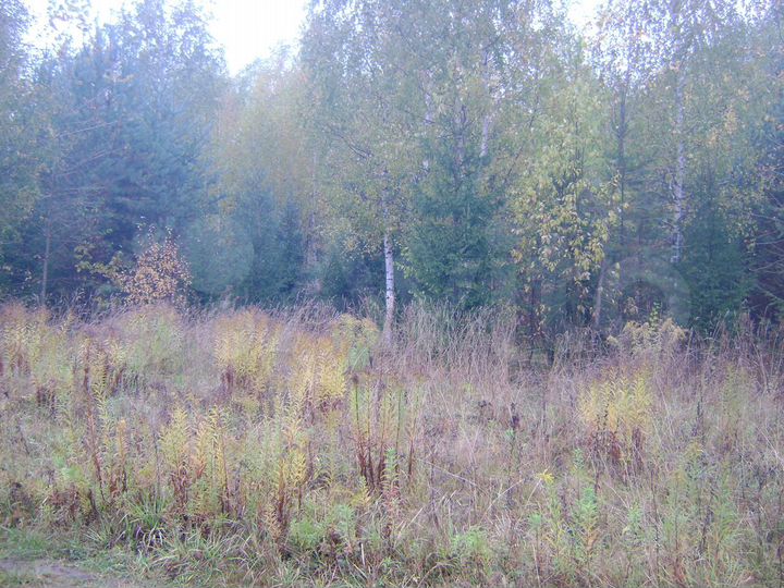 Участок 13,9 сот. (ИЖС)