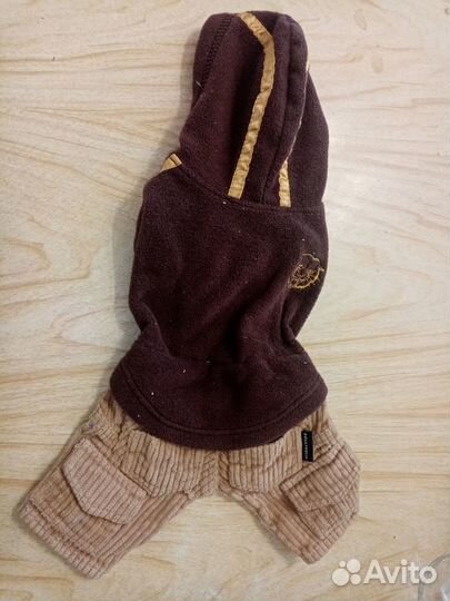 Одежда для маленьких собачек