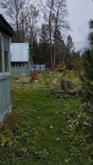 Дача 35 м² на участке 11,7 сот.