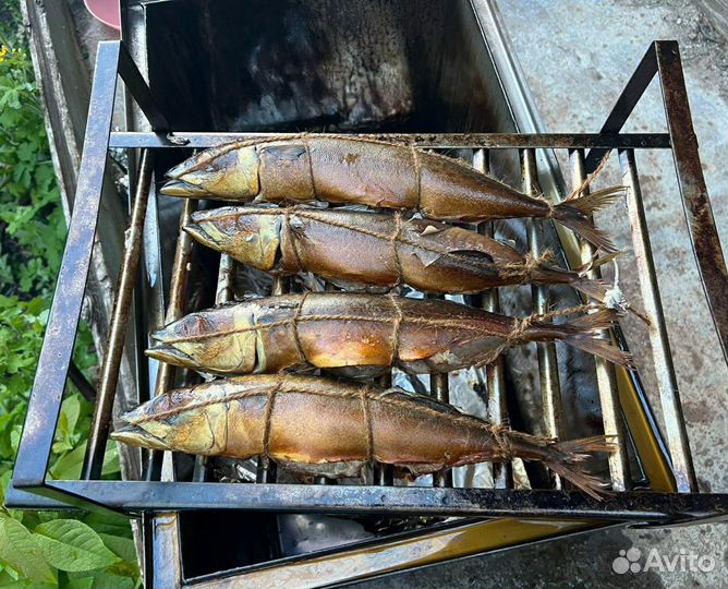Вкусная рыба горячего копчения