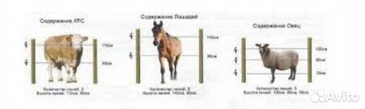 Электропастух для коз, лвец, коров, телят, лошадей