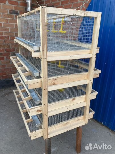 Клетка для перепелок