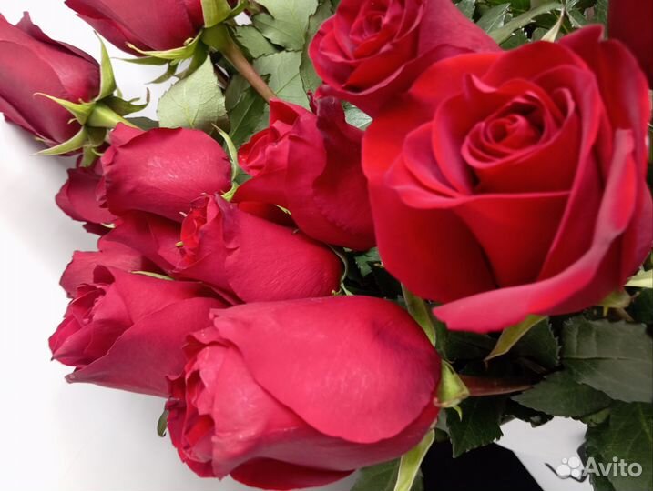 Цветы на 8 марта