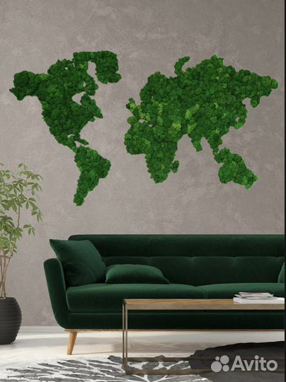 Стабилизированный мох/ озеленение