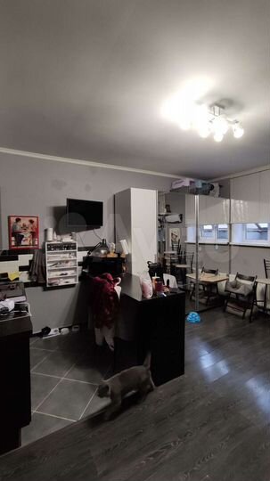 Квартира-студия, 28,7 м², 1/3 эт.