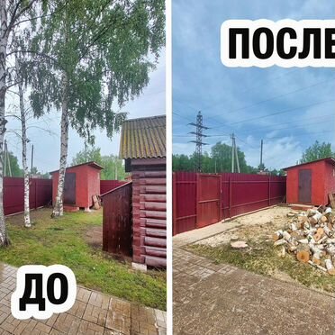 Спил деревьев / Расчистка участка