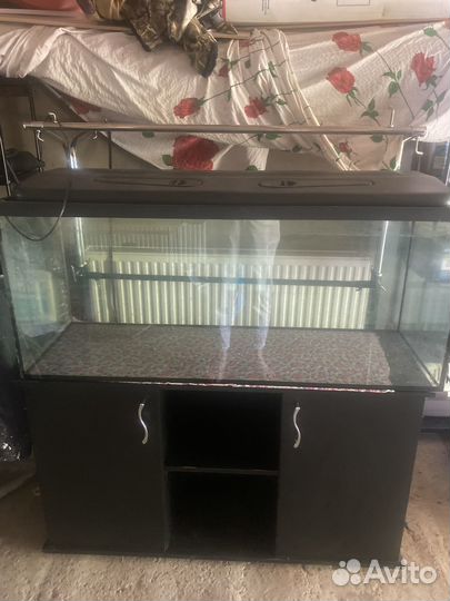 Аквариум 240л