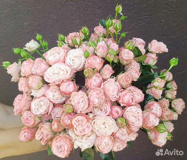 Кустовые пионовидные розы