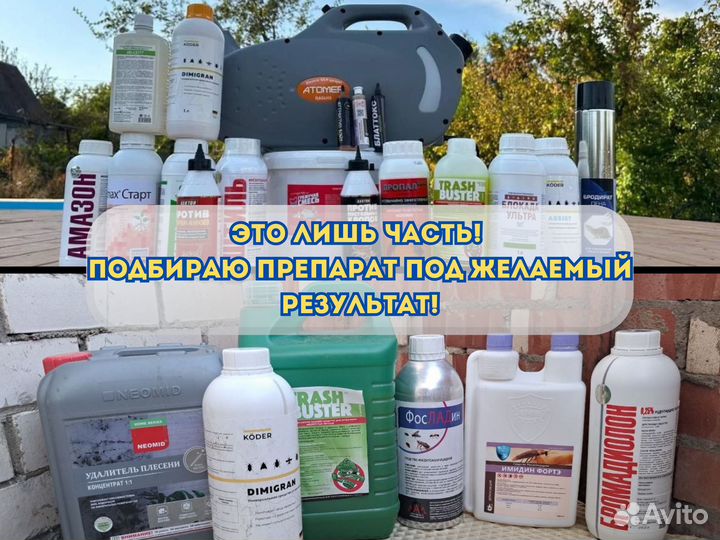 Дезинфекция. Уничтожение тараканов, плесени