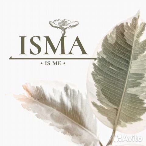 Маникюр, педикюр, архитектура бровей