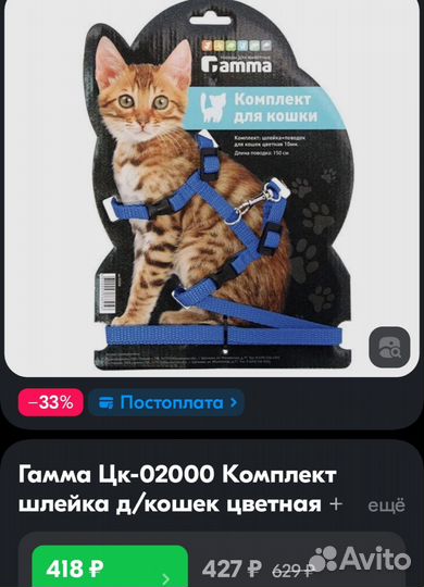 Шлейка для кошки с поводком Гамма