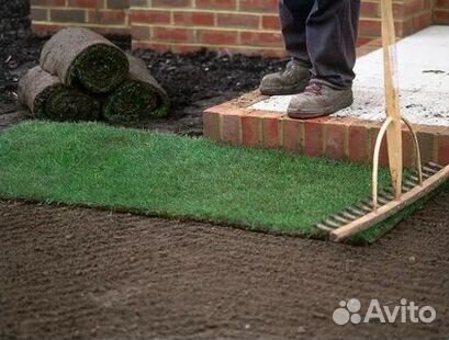 Рулонный газон с гарантией