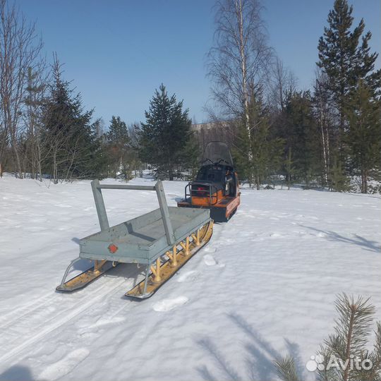 Буран с санями