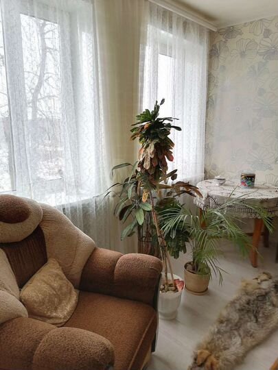 2-к. квартира, 46,3 м², 2/2 эт.