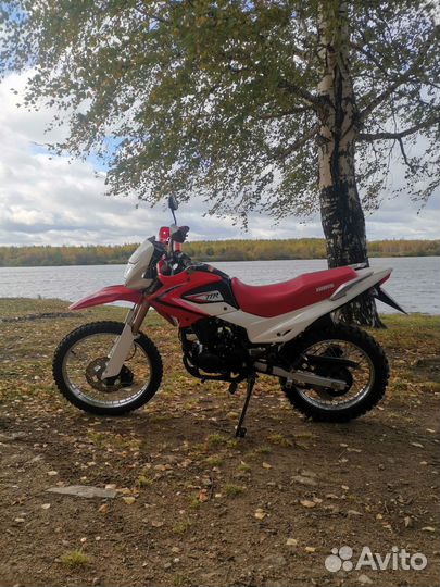 Ирбис ттр 250р