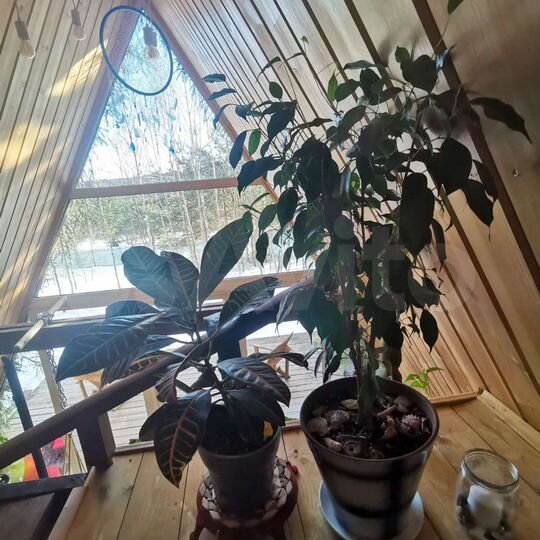 Дом 40 м² на участке 30 сот.