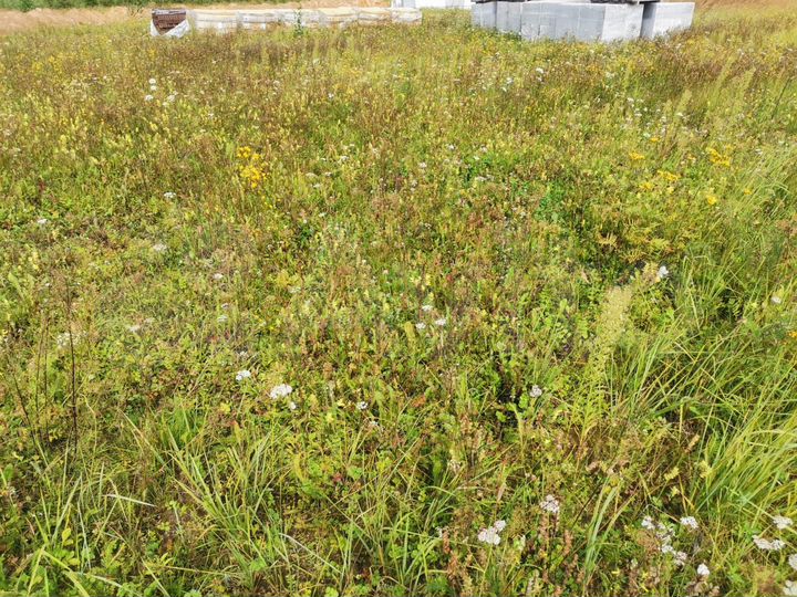 Участок 12 сот. (ИЖС)