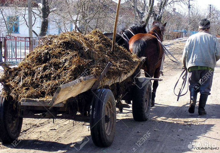Навоз перегной