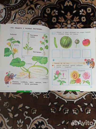 Книги - Окружающий мир