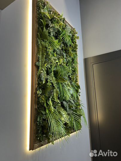 Фитокартина