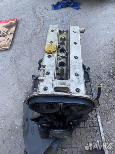 Двигатель x20xev