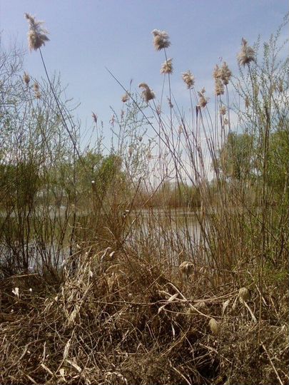 Участок 2,88 га (СНТ, ДНП)