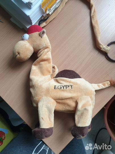Верблюд из Египта