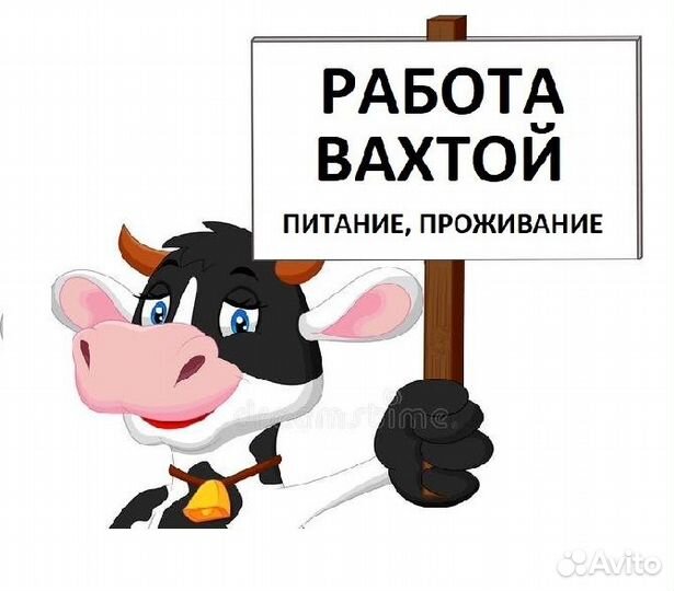 Рабочий на ферму крс Воронежская обл