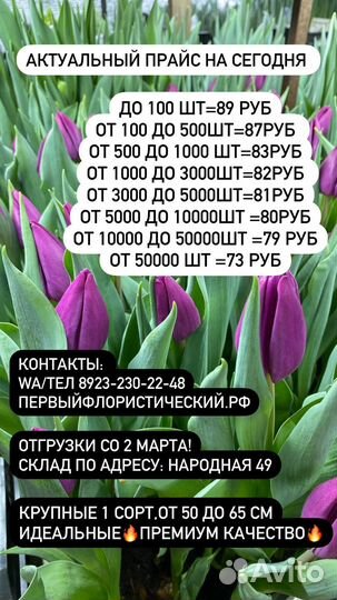 Тюльпаны к 8 марта оптом