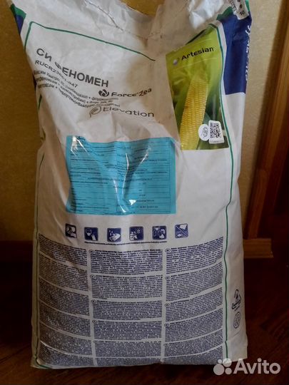 Семена кукурузы Сингента - си феномен