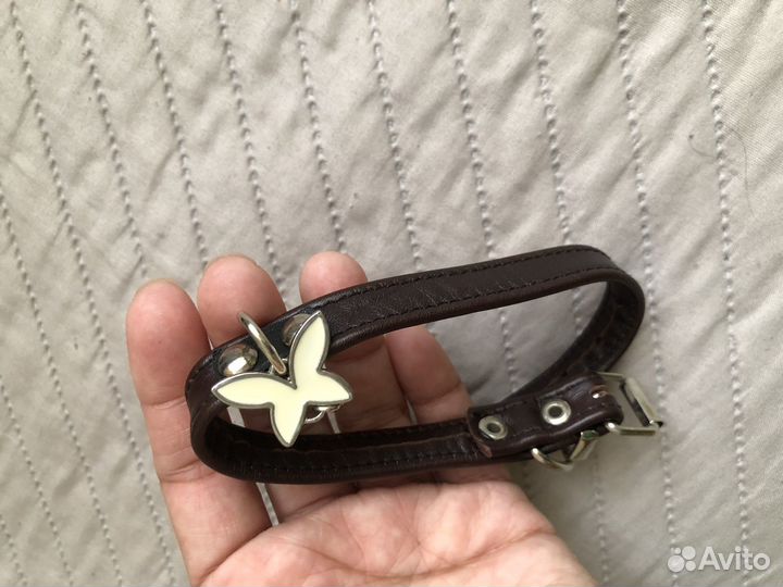 Ошейник для маленькой собаки