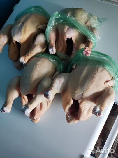 Куры бройлеры тушки мясо