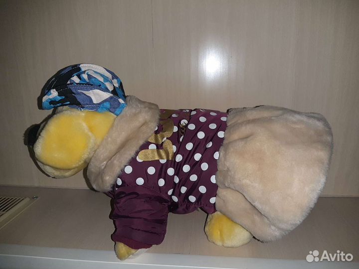 Одежда для собаки